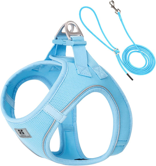 Adjustable Dog Harness with Leash, Reflective Mesh, No-Pull Design，Matching Lead Rope (SkyBlue, M)