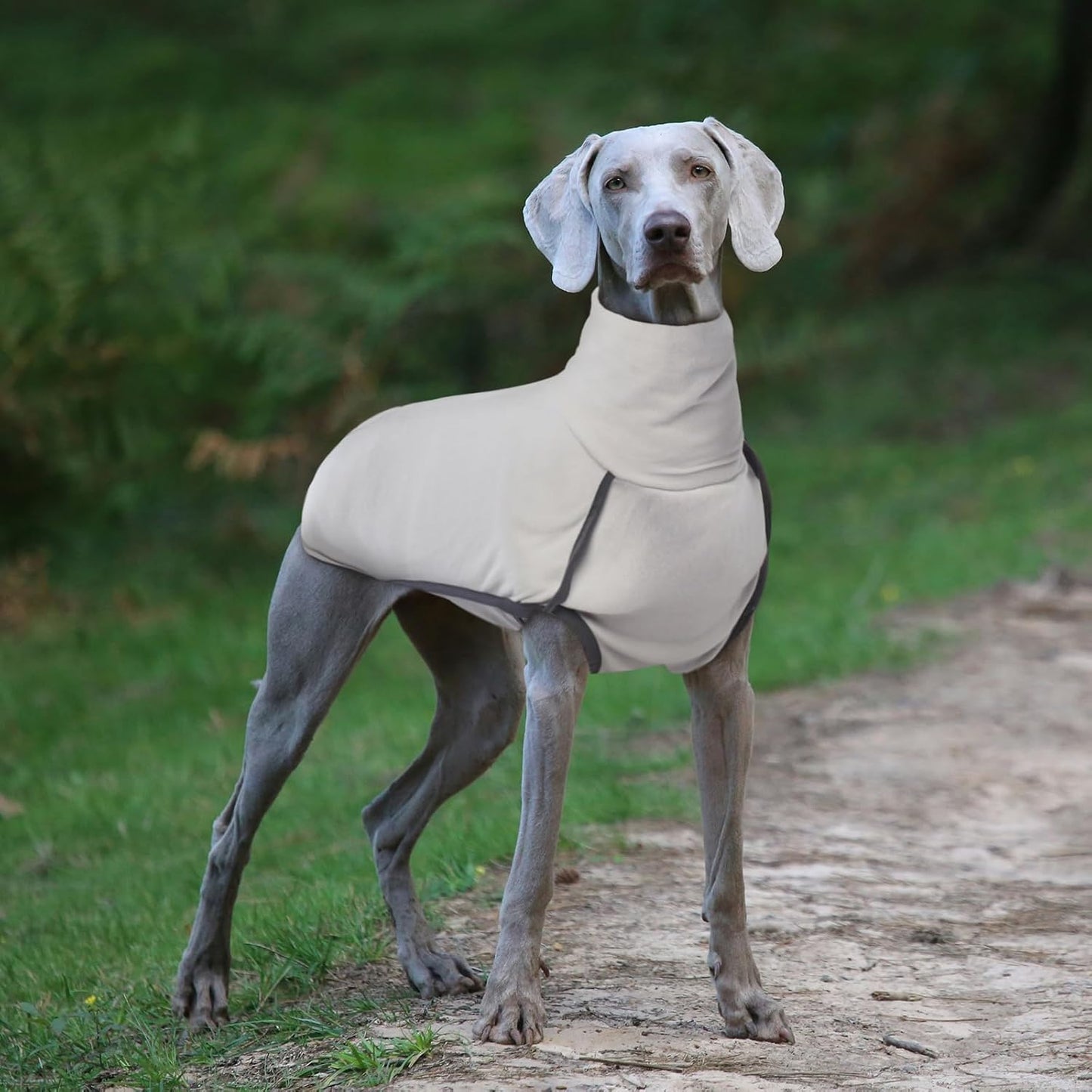 ROZKITCH Dog Winter Coat Soft Pullover Pajamas, Pet Windproof Warm Cold Weather Jacket Vest Cozy Jumpsuit Apparel Outfit Clothes for Walking Sleep Grey XS