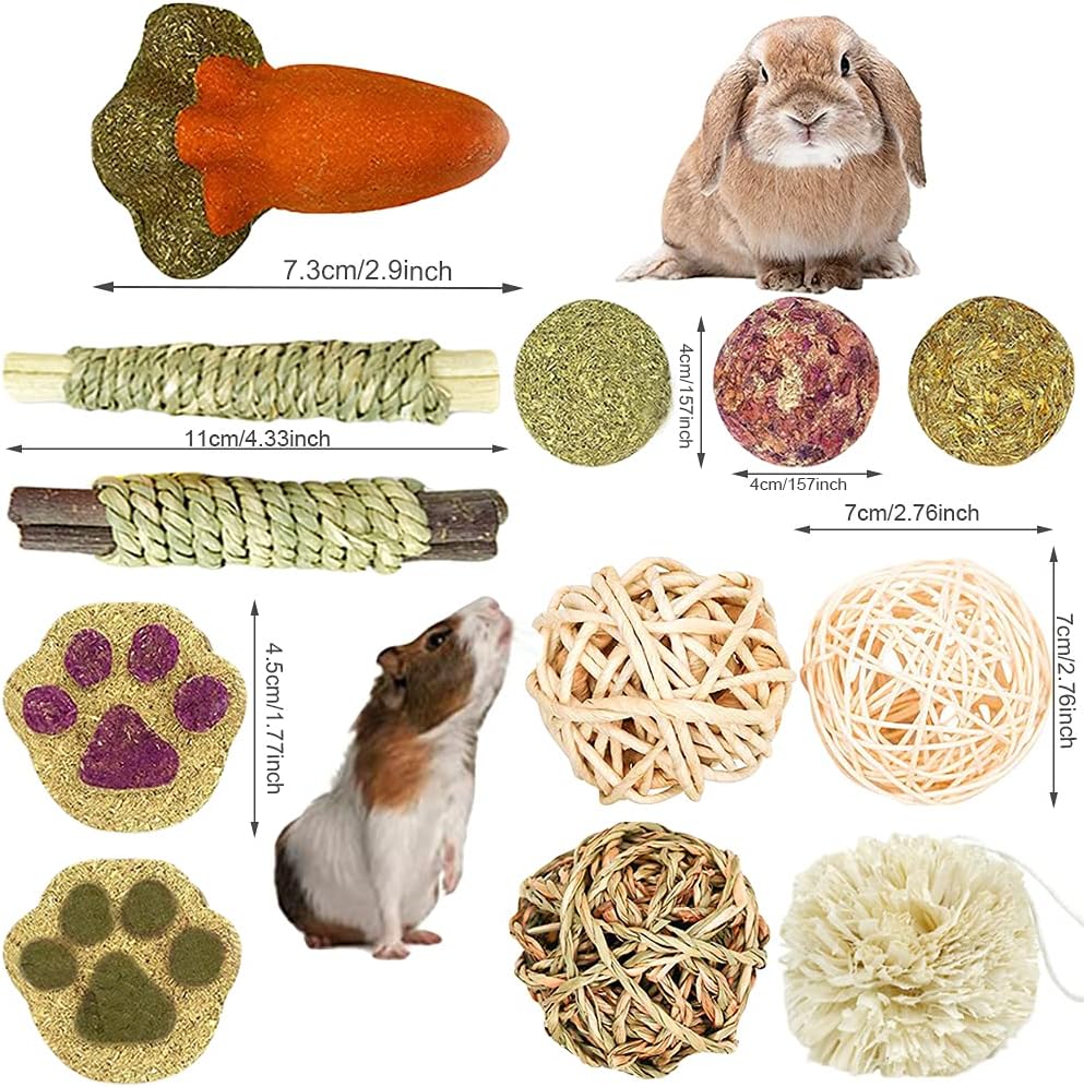 16PCS Guinea Pig Toys, Rabbit Play Balls Rolling, Teeth Care Molar Toys for Hamster Rabbit Guinea Pig Rats Gerbils Hamster Chinchilla Etc