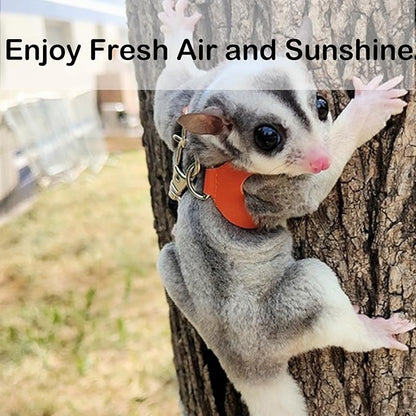 3 Pack Sugar Glider Harness and Leash Set Small Animal Training Walking Vest for Squirrel Hamster Rat-Black