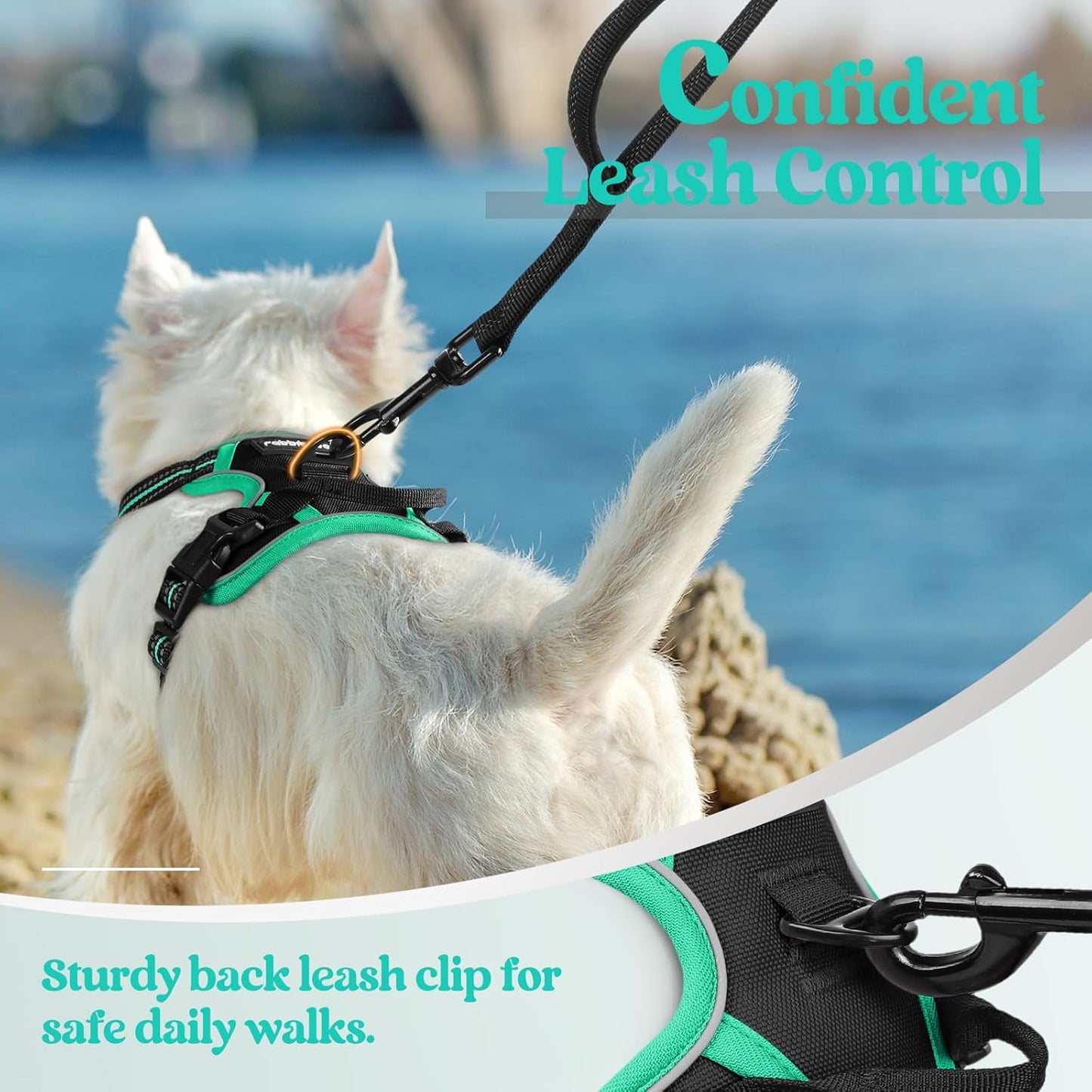 rabbitgoo Dog Harness No Pull with 2 Leash Clips, Adjustable Soft Padded, Reflective Oxford No Choke Pet Vest with Easy Control Handle for Puppy, Black & Turquoise, XS