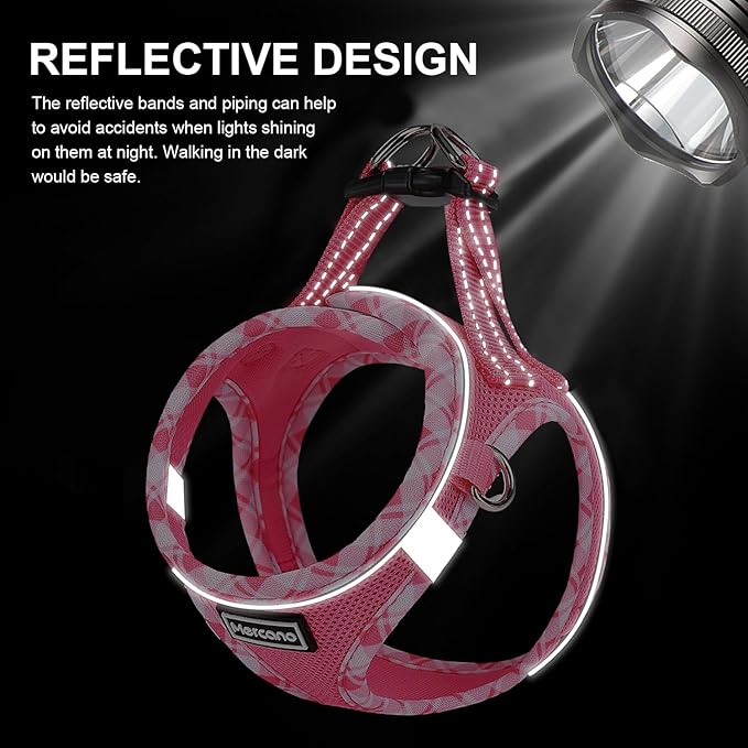 Mercano Soft Mesh Dog Harness and Leash Set, No-Chock Step-in Reflective Breathable Lightweight Easy Walk Vest Harnesses with Safety Buckle for Small Dogs, Cats (XXS, Fuchsia)