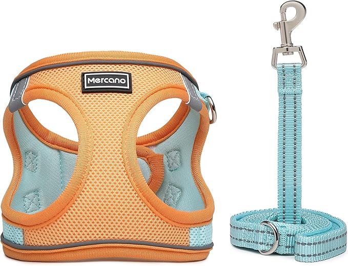 Mercano Soft Mesh Dog Harness and Leash Set, No-Chock Step-in Reflective Breathable Lightweight Easy Walk Vest Harnesses with Safety Buckle for Small Dogs, Cats (XS, Orange Blue)