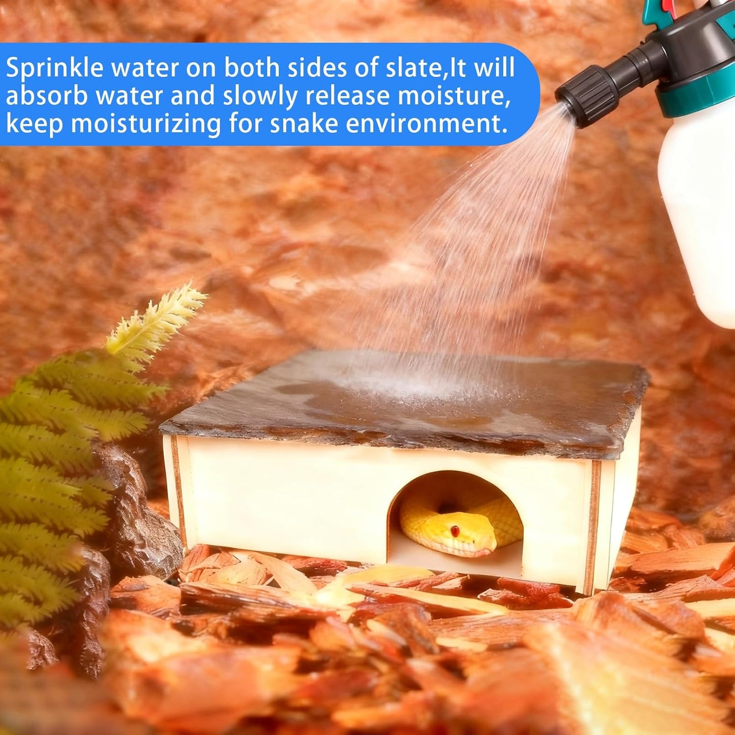 Large Snake Hide with Slate Reptile Hide Box Ball Python Hide 15.7×11.8×4.3"(XL) Reptile Hides Snake Hides for Ball Pythons Leopard Geckos 100% Natural Stone & Wood Reinforced Packaging