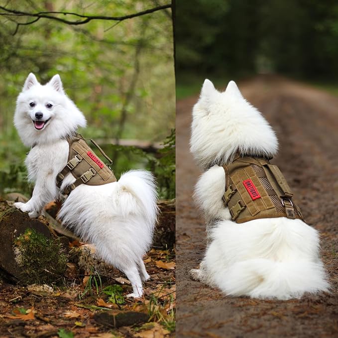 OneTigris No Pull Dog Harness for Small Dog, Mesh Design Breathable Military Dog Molle Vests with Handles, Service Dog Vest Harness for Walking Hiking Training