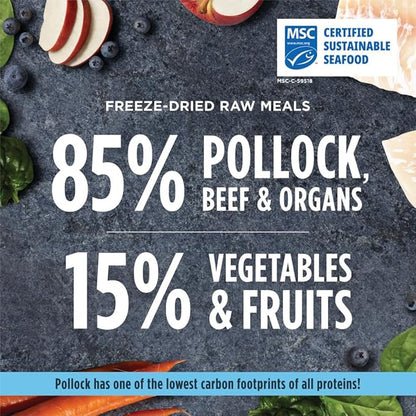 Instinct Freeze Dried Raw Meals, Natural Dry Dog Food, Grain Free - Wild Caught Pollock, 14 oz. Bag