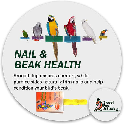 Sweet Feet and Beak Comfort Grip Safety Perch for Bird Cages - Pedicure Perch for Birds to Keep Nails and Beaks in Top Condition - Safe Easy to Install Bird Cage Accessories - Small 6.5"