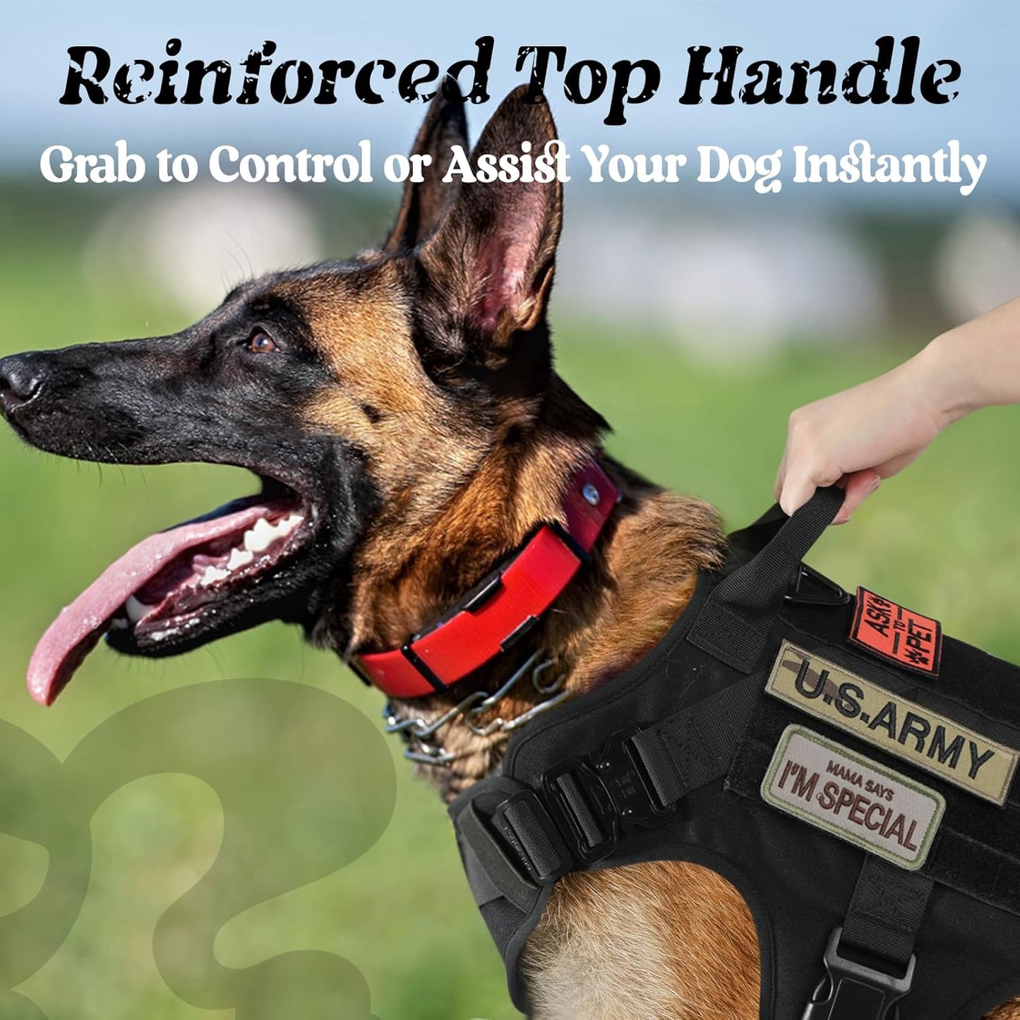 rabbitgoo Tactical Dog Harness for Small, Heavy Duty Pet Harness with Handle, No-Pull Service Vest Small Breed, Adjustable Military Dog Vest for Training Hunting Walking, Black, S