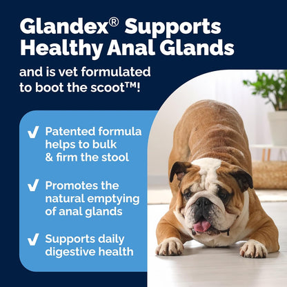 Vetnique Glandex Dog Fiber Supplement Powder for Anal Glands with Pumpkin, Digestive Enzymes & Probiotics - Vet Recommended (Regular or Advanced Strength) - Boot The Scoot (5.5 oz, Pork Liver)