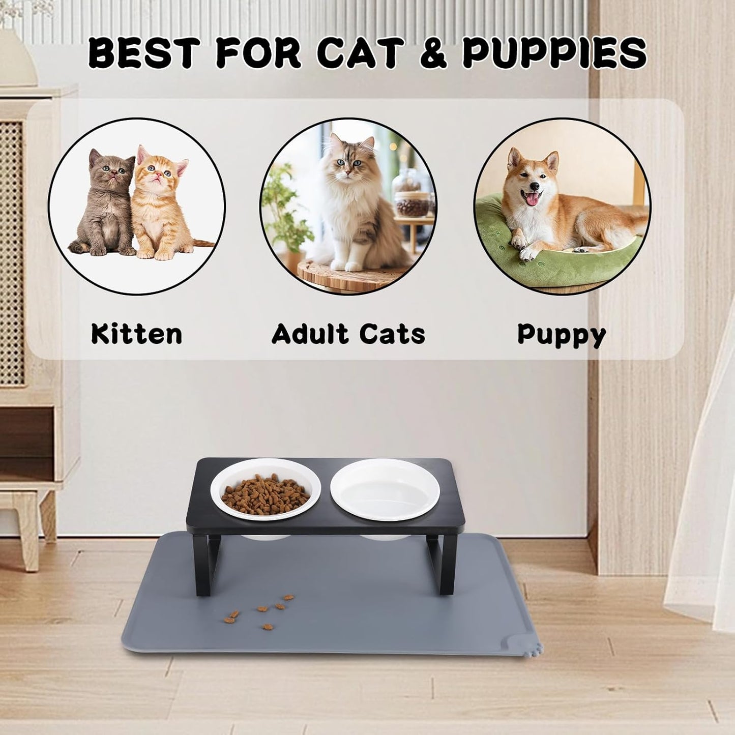 Elevated Whisker Friendly Cat Bowls, 15 Tilted Stand Anti Vomiting Raised Dishes for Food and Water,2 Ceramic Bowls for Cats and Puppy,Black