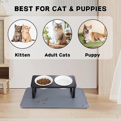 Elevated Whisker Friendly Cat Bowls, 15 Tilted Stand Anti Vomiting Raised Dishes for Food and Water,2 Ceramic Bowls for Cats and Puppy,Black