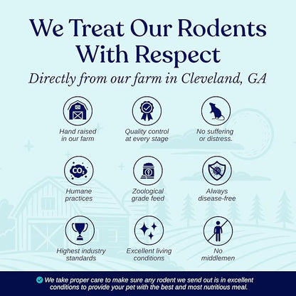 MiceDirect Frozen Rat Pups Feeder Food Adult Corn Snakes Juvenile Adult Ball Pythons Monitor Lizard (15 Count)