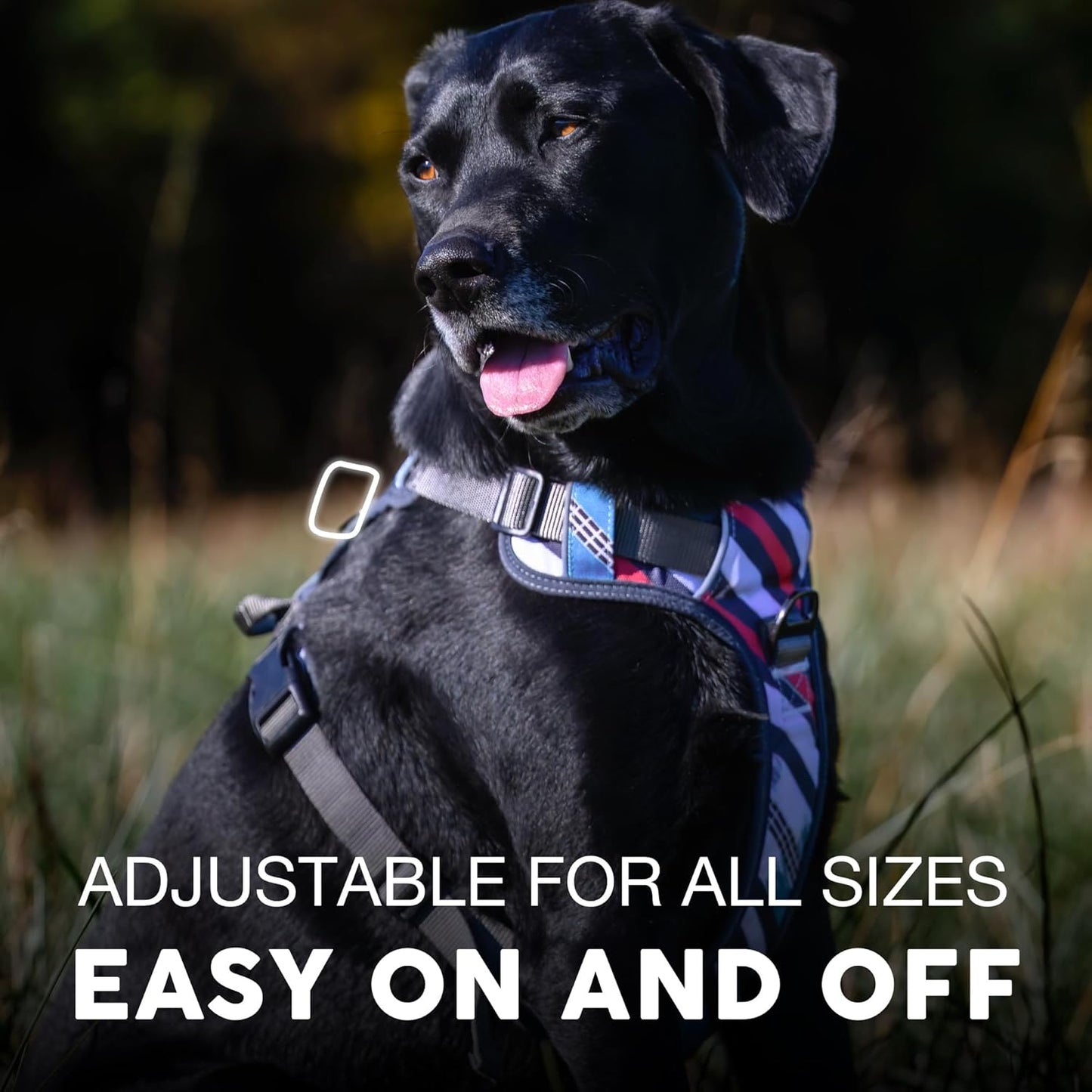 Embark Adventure Dog Harness, Reflective Trim XL Dog Harness for Extra Large Dogs No Pull - Military Grade Nylon, 2 Leash Clips & Gel Lined Handle.