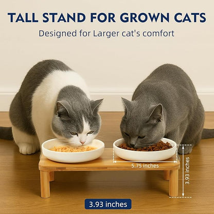 Elevated Cat Bowls for Indoor Cats – Raised Bamboo Cat Food Table with 2 Ceramic Dishes, Adjustable Height (4.25"/3.07"), Set of 1