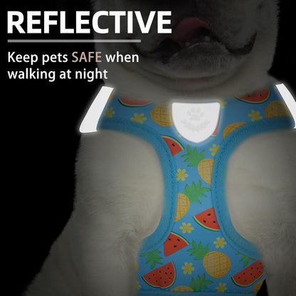PUPTECK Adjustable Dog Harness Collar and Leash Set Step in No Pull Pet Harness for Small Medium Dogs Puppy and Cats Outdoor Walking Running, Soft Mesh Padded Reflective Vest Harnesses, Sky Blue S