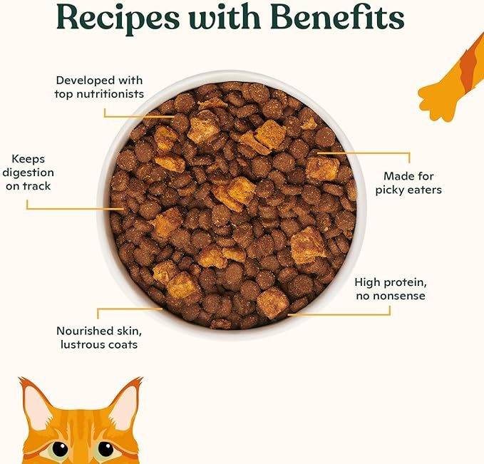 Made by Nacho Dry Cat Kibble 4lb Bag, High Protein Premium Cat Food with Freeze Dried Pieces, Sustainably-Caught Salmon, Whitefish & Pumpkin, Limited Ingredients, Single Bag