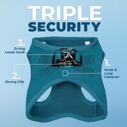 Best Pet Supplies Voyager Step-in Air Harness - All Weather Mesh, Reflective, No Pull Harness for Dogs, Cats - Secure with Hook & Loop Fastener, Buckle, Double D-Rings - Turquoise, M