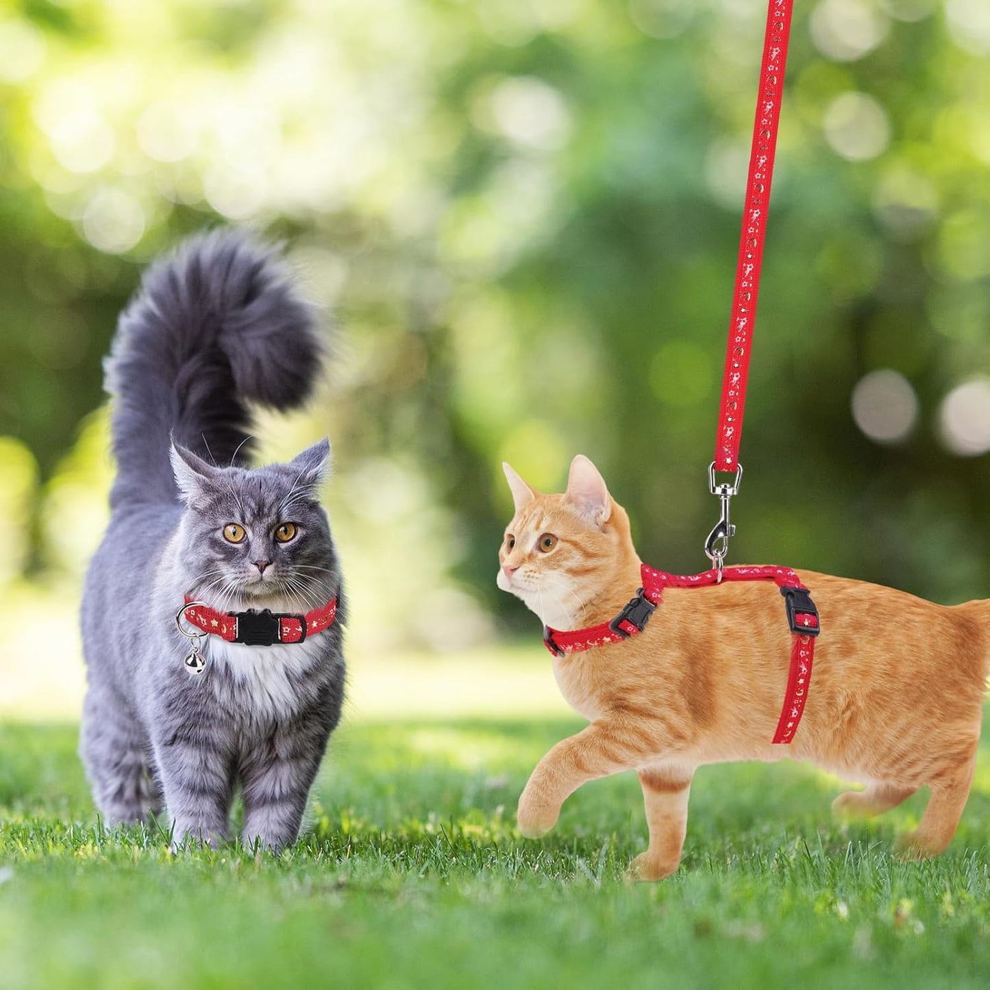 PAWCHIE Cat Harness with Leash and Collar Set - Escape Proof Adjustable H-shped Cat Harness with Star and Moon Pattern Glow in The Dark for Kitty Outdoor Walking, Red M