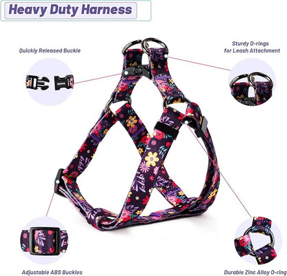 QQPETS Dog Harness Leash Set Adjustable Heavy Duty No Pull Halter Harnesses for Small Medium Large Breed Dogs Back Clip Anti-Twist Perfect for Walking