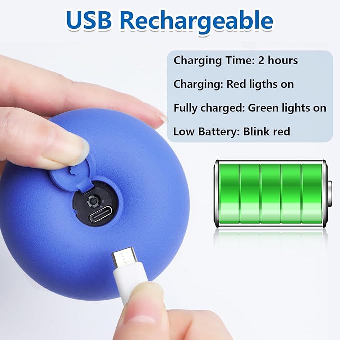 Interactive Dog Toys with Motion Activated, Squeaky Dog Toy Active Rolling Ball for Puppy and Medium Dogs, USB Rechargeable, Wicked Ball