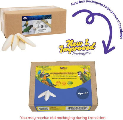 Birds LOVE Natural Cuttlebone | 100% Pure Sun-Dried Calcium Supplement for Birds, Tortoises, Snails & Crabs | Supports Beak & Shell Health | Easy to Chew | 6 Pack, Size 5.5 to 6"