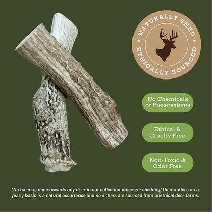 Good Trouble Premium Deer Antlers for Large Dogs – 2 Whole Antlers Pets - North American Sourced for Dental Health & Anxiety Relief - Odor-Free & Non-Toxic Chew Bone for Dogs