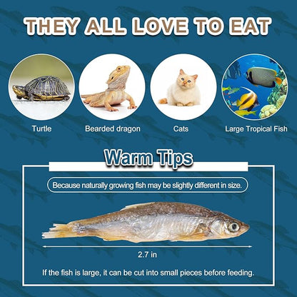 Dried River Fish - Dried Minnows Natural Food for Turtles Terrapins Cats Reptiles Large Tropical Fish（5.5 OZ）
