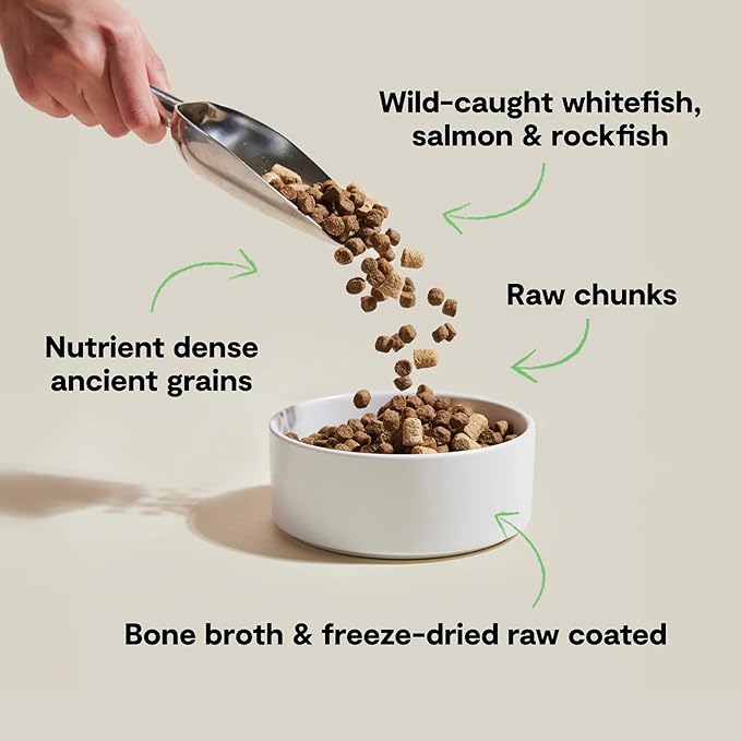 Open Farm, RawMix Dry Dog Food with Ancient Grains, Protein-Packed Kibble Coated in Bone Broth with Freeze Dried Raw Chunks, Salmon Whitefish & Rockfish, Wild Ocean Recipe, 20lb Bag