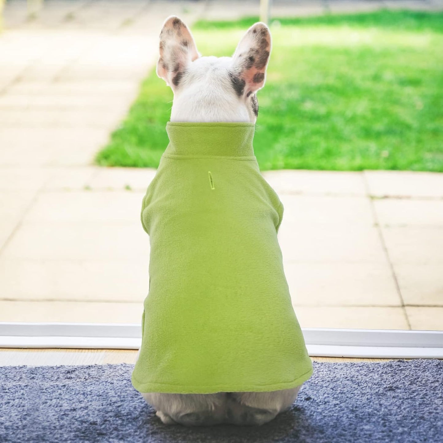 FUAMEY Dog Fleece Vest for Small Dogs,Warm Stretchy Dog Sweatshirts Pullover with Leash Hole Dogs Sweater Soft Pet Turtleneck Cozy Pet Vest Lightweight Sleeveless Green S