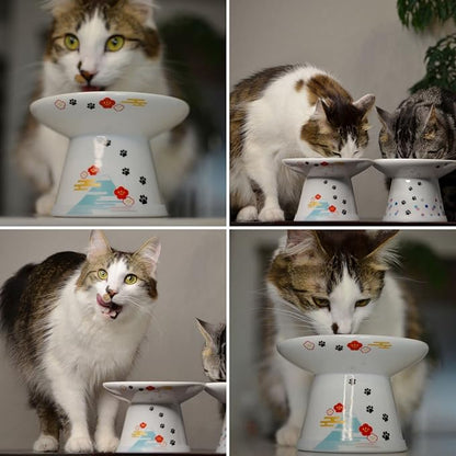 Necoichi Raised Cat Food Bowl – Ceramic Elevated Cat Bowl for Whisker & Neck Fatigue, Dishwasher Microwave Safe – Non-Slip & Anti Vomiting Ergonomic Design (Fuji, Extra Wide)