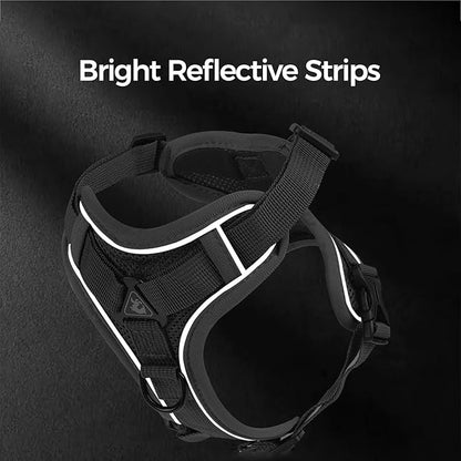 Cat Harness and Leash Set Escape Proof Tactical Extra Large Kitten Harness Emotional Support Cat Vest, Grey, XXL