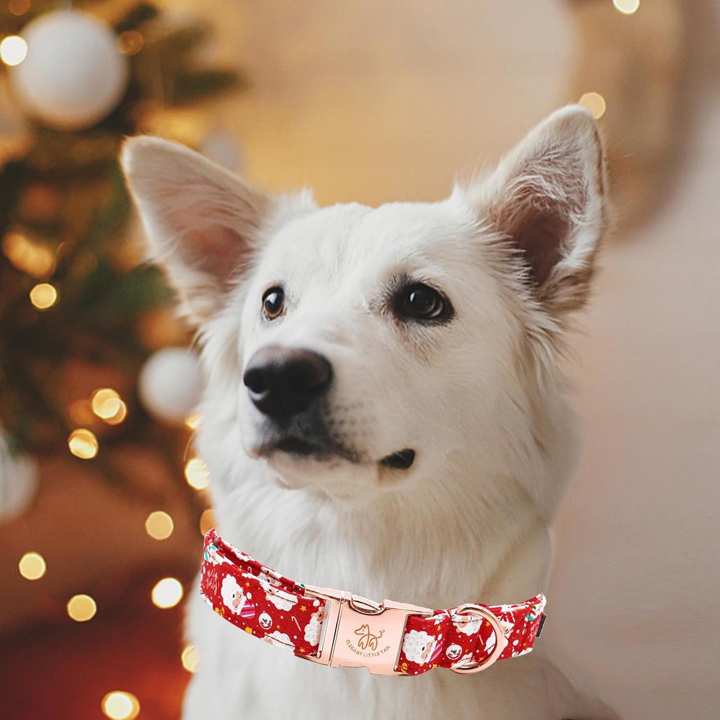 Elegant little tail Christmas Dog Collar, Red Santa Claus Print Pet Collar Dog Durable Cute Dog Collars Winter Holiday Male or Female Pet Gift Adjustable Dog Collar for Small Puppy