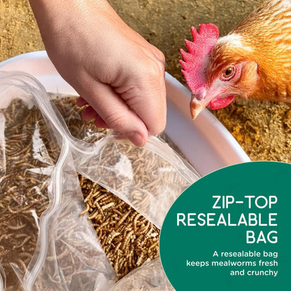 FLYGRUBS 5 lb Dried Black Soldier Fly Larvae - High-Calcium Chicken Treats for Laying Hens and Wild Birds - Nutrient-Rich Mealworm Alternative - Supports Feather Growth and Strong Eggshells