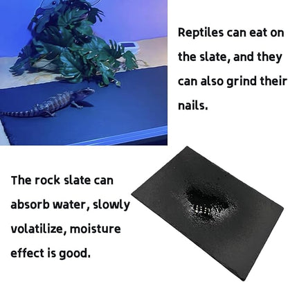 Reptile Basking Platform Turtle Rock Plate 11.8''X7.8'' Feeding Platform Food Bowl Slate Dish Bathing Rock Resting Terrace for Lizard Bearded Dragon Chameleon Gecko Snake Frog Newt