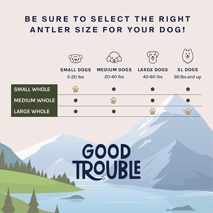 Good Trouble Premium Deer Antlers for Medium Dogs – 2 Whole Antlers Pets - North American Sourced for Dental Health & Anxiety Relief - Odor-Free & Non-Toxic Chew Bone for Dogs