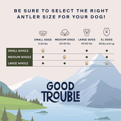 Good Trouble Premium Deer Antlers for Large Dogs – 2 Whole Antlers Pets - North American Sourced for Dental Health & Anxiety Relief - Odor-Free & Non-Toxic Chew Bone for Dogs