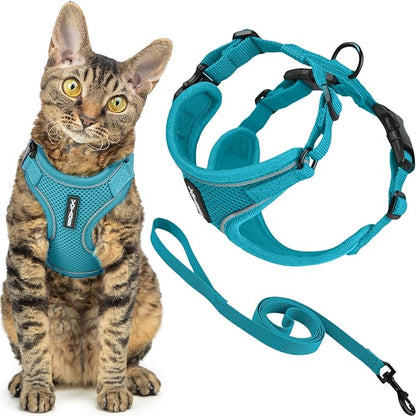 Voyager Escape Proof Cat Harness and Leash Set with Reflective Stitching, Neoprene Handle 5ft - Supports Small, Medium and Large Cats, Kittens for Walking by Best Pet Supplies - Turquoise, S