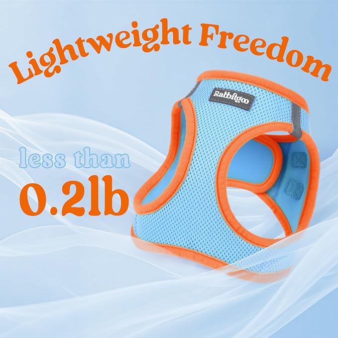 rabbitgoo Dog Harness Small Sized and Leash Set, Step-in Breathable Pet Harness, Soft Walking Reflective Puppy Vest for Small Dogs, Light Blue & Orange, S
