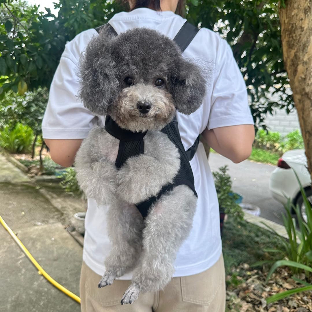 Pet Dog Carrier Backpack, Portable Breathable Mesh Chest Carrier, Polyester Woven Double Shoulder Pet Bag for Outdoor Adventures (Black, Small)
