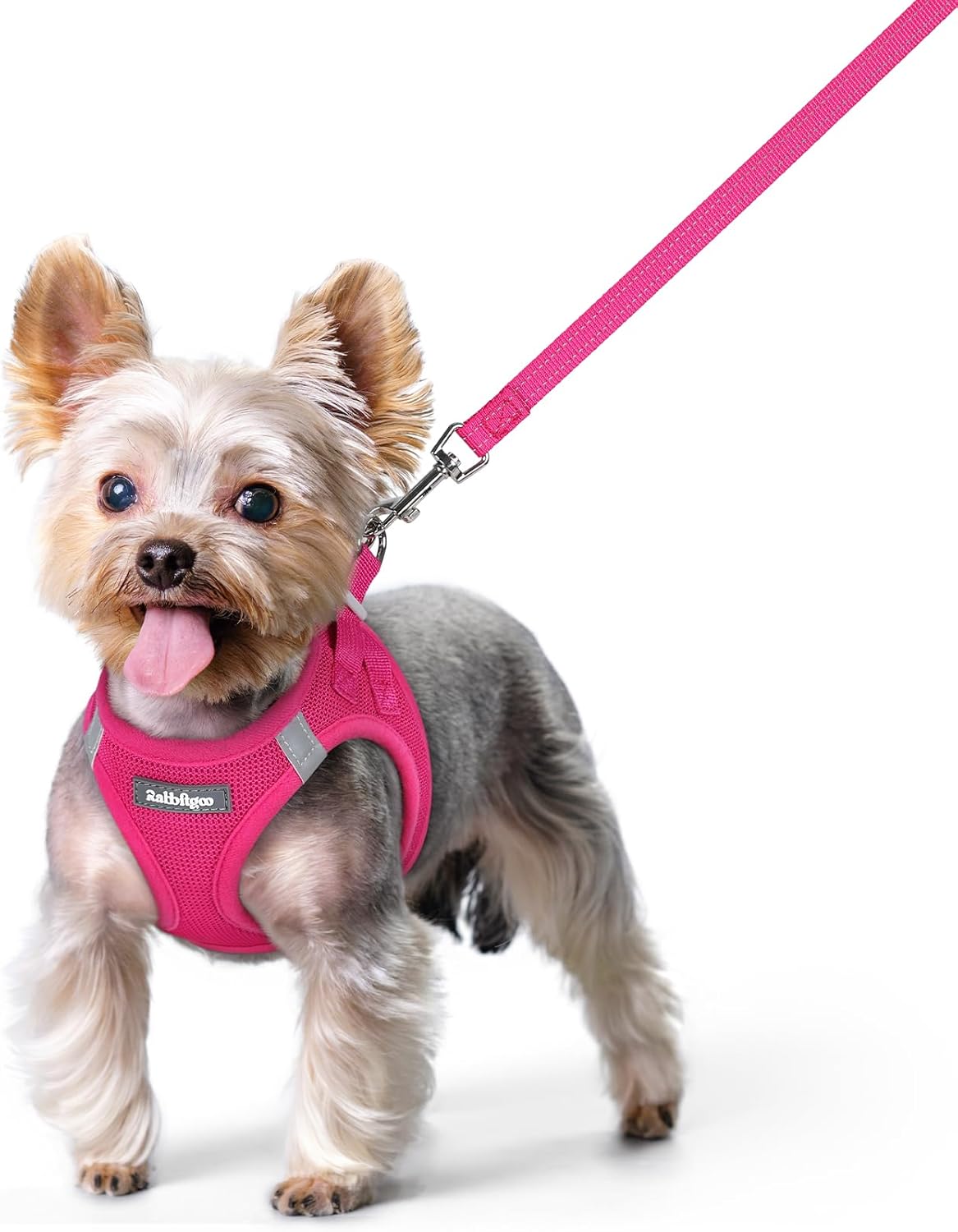 rabbitgoo Dog Harness Small Sized and Leash Set, Step in Soft Light Puppy Vest, Breathable Mesh Pet Harness, Reflective for Safe Easy Walking, Rose Red XS