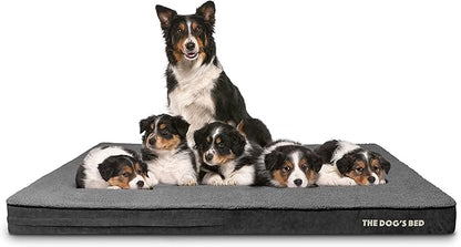 The Dog’s Bed Orthopedic Memory Foam Jumbo Dog Bed, XXXL Grey Plush, Pain Relief for Arthritis, Hip & Elbow Dysplasia, Post Surgery, Lameness, Supportive, Waterproof Washable Cover
