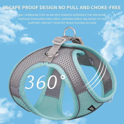 AIITLE Small Harness for Puppy with A Leash - Summer Dog Vest Harness with Super Breathable Mesh, Reflective No-Pull Pet Harness for Outdoor Walking, Camping for Small Dogs, Cats Turquoise XXS