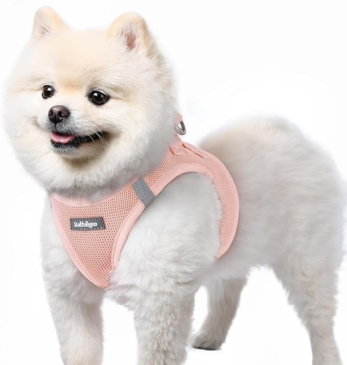 rabbitgoo Small Dog Harness, Step-in Soft Mesh Puppy Vest with Safety Buckle, Breathable Reflective Pet Harness for Small Sized Dogs, Pink S