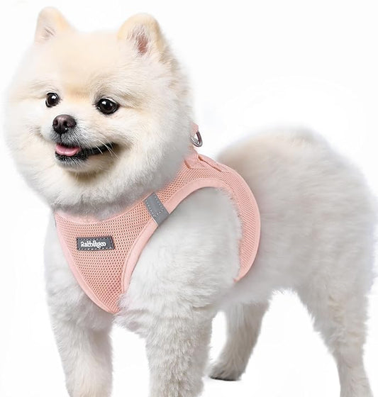 rabbitgoo Small Dog Harness, Step-in Soft Mesh Puppy Vest with Safety Buckle, Breathable Reflective Pet Harness for Small Sized Dogs, Pink S