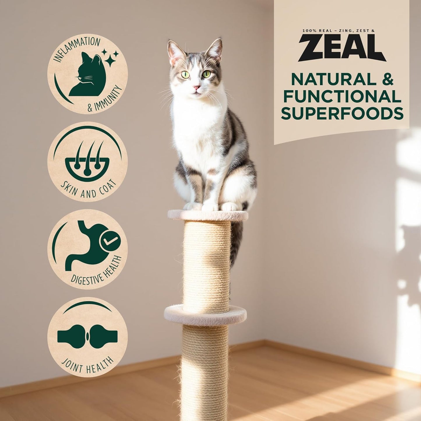 ZEAL Canada Air-Dried Salmon & Turkey Recipe for Cats - Superfood Omega-3 Rich, Dual-Protein, Grain Free, No Fillers, Complete Nutrition (Salmon & Turkey, 5 oz)