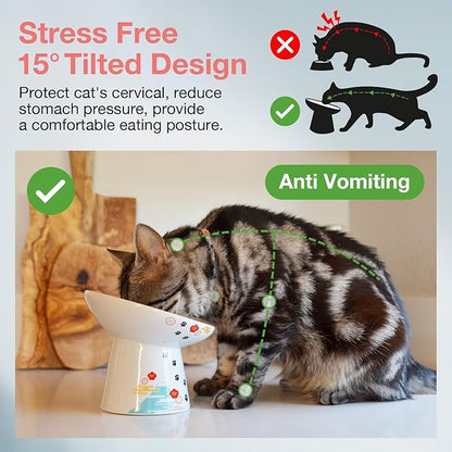 Necoichi Raised Cat Food Bowl – Ceramic Elevated 15° Tilted Cat Bowl for Whisker & Neck Fatigue, Dishwasher Microwave Safe – Non-Slip & Anti Vomiting Ergonomic Design (Fuji, Extra Wide Tilted)