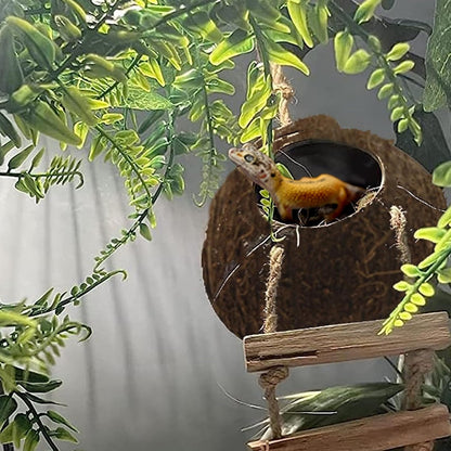 5PCS Coconut Hut for Gecko, Lizard Coco Den with Ladder and Reptile Hammock Bearded Dragon Tank Accessories Climbing Hanging Plants Jungle Vine Flexible Reptile Leaves Decor