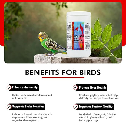 Morning Bird Moringa Leaf Powder 16 Oz – Natural Food Supplement with Omega-3, Iron, Vitamins B & K – Supports Detox, Energy, Brain & Immune Health – Clean Plant-Based Supplement for All Birds