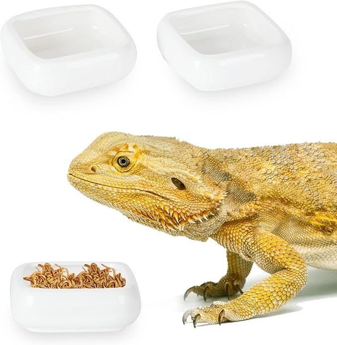 Reptile Food Bowls Ceramic Square Reptile Water Food Dish, Pet Food Bowl for Lizards, Young Bearded Dragons, Small Snakes, Gecko Tortoise Spider (White, Small 2-Pack)