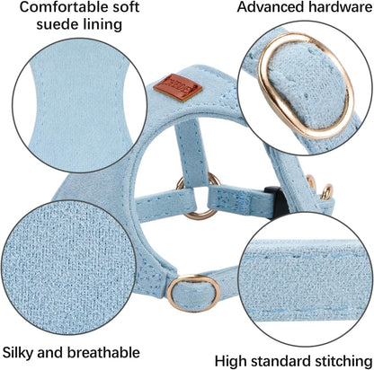 No Pull Dog Harness- Lightweight, Soft, Adjustable Small Harness Collar and Leash Set, Suitable for Cats Puppy Small and Medium-Sized Dog Outdoor Training and Running (Blue, XS)